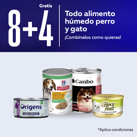 Alimento húmedo