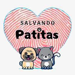 Salvando patitas