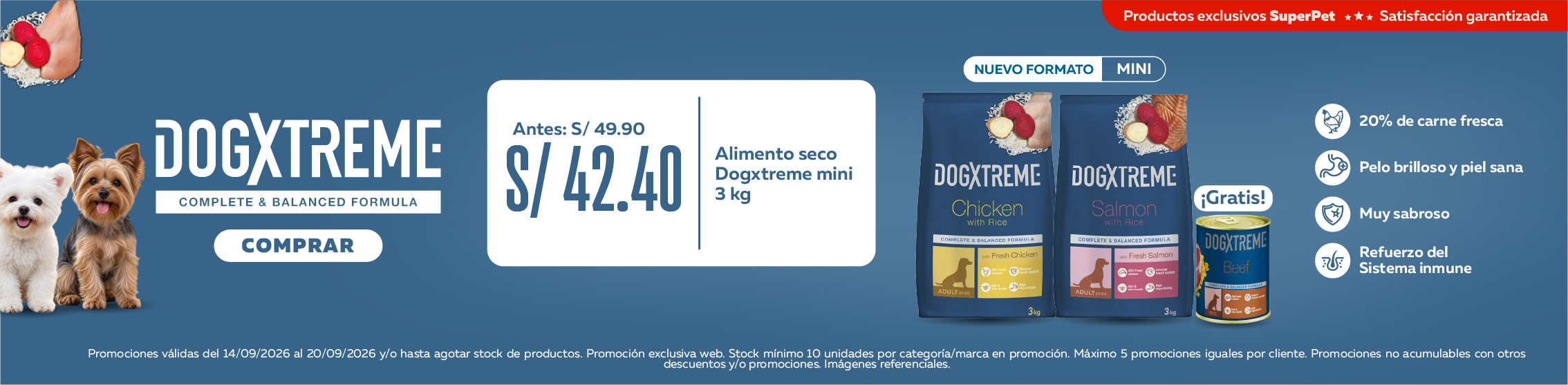 Regalo Dogxtreme