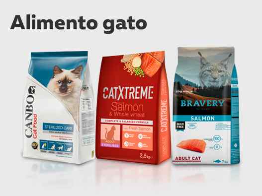 Alimento gato