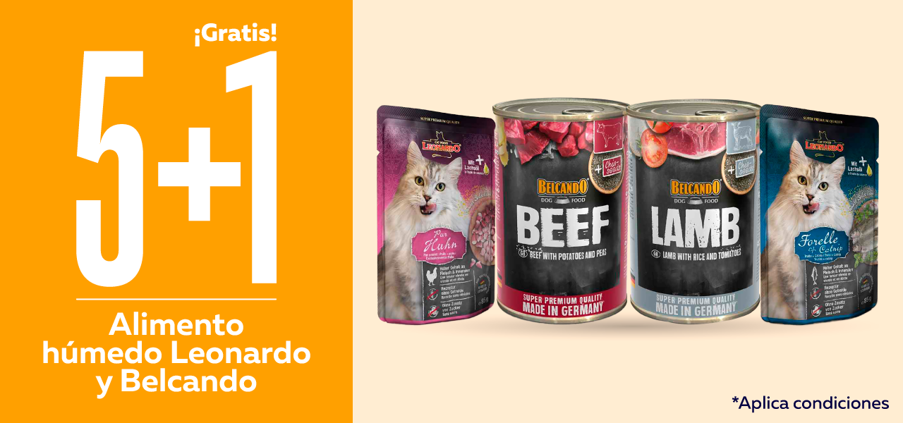 5+1 alimento húmedo