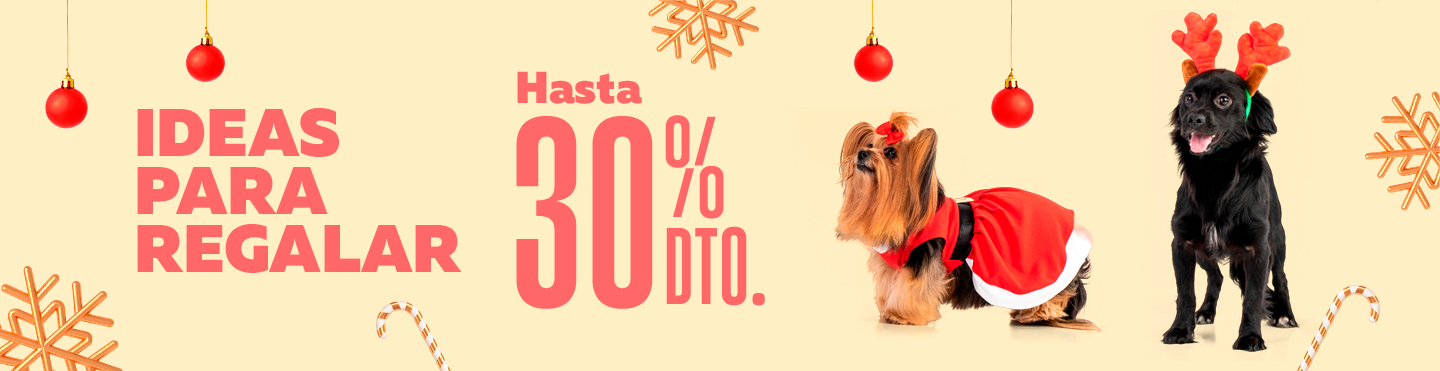Novedades invierno