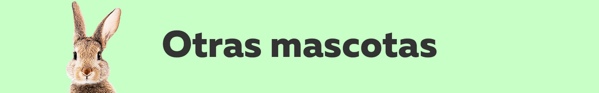Otras mascotas Otras mascotas