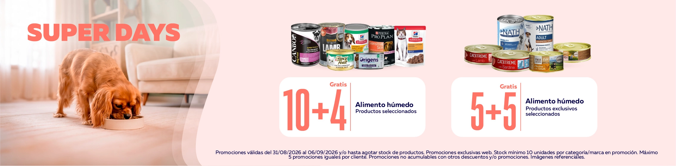 10+4 y 5+5, lleva m&aacute;s y paga menos en alimento h&uacute;medo de marcas seleccionadas