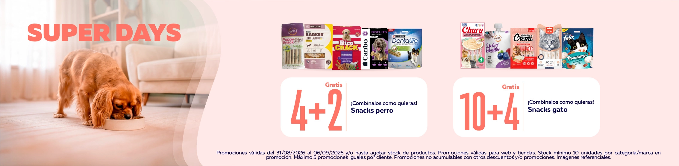 4+2 en Snacks para perro, &iexcl;comb&iacute;nalos como quieras! | 10+4 en Snacks para perro, &iexcl;comb&iacute;nalos como quieras!