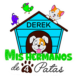 Mis hermanos de 4 patas