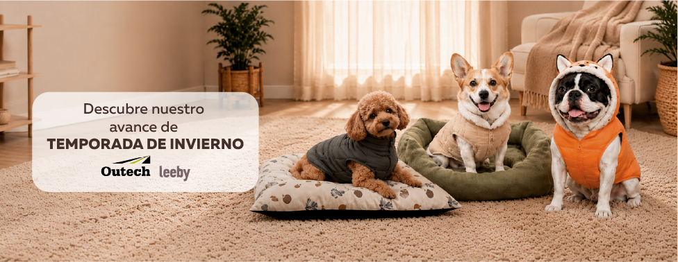 Invierno