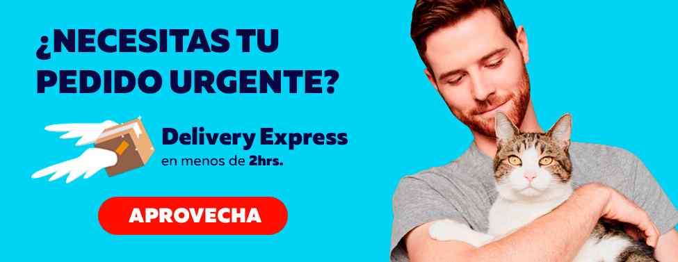 Productos delivery express