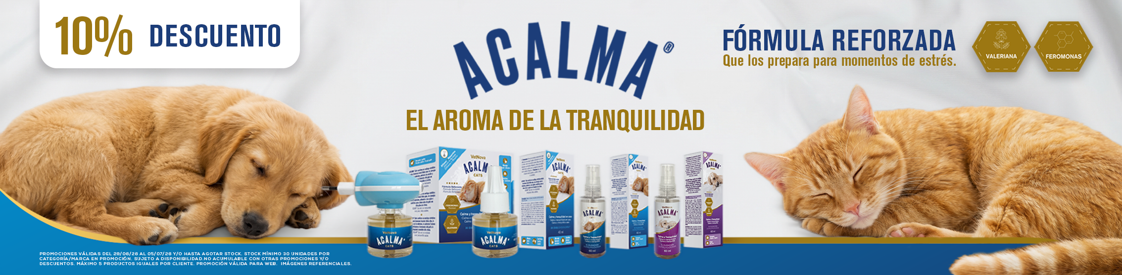 Acalma