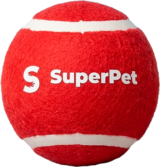 Pelota Solidaria