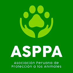 ASPPA