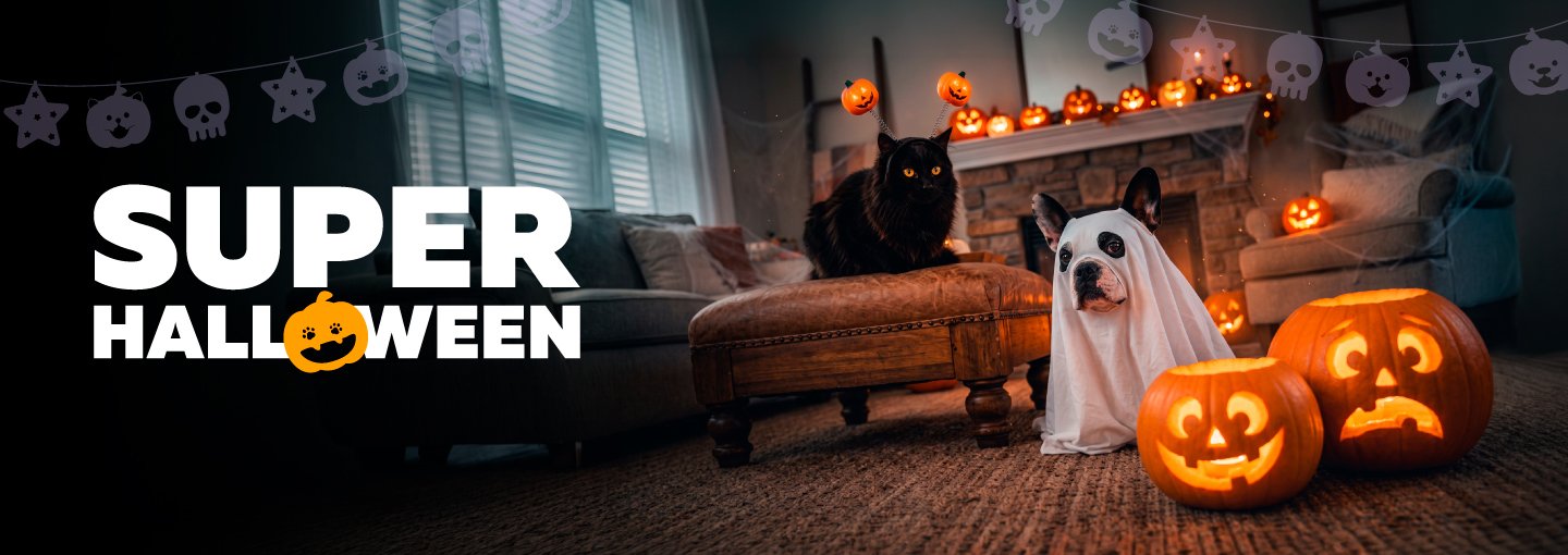 Super Halloween: gato negro con vincha de calabazas y perro disfrazado de fantasma junto a calabazas iluminadas en una sala decorada.