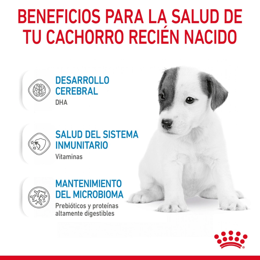 Royal Canin Perro Shn Babydog Milk 400 g, , large image number null