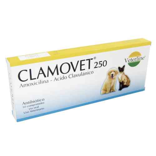 Clamovet 250mg/ Amoxicilina Antibiotico 10 comprimidos image number null