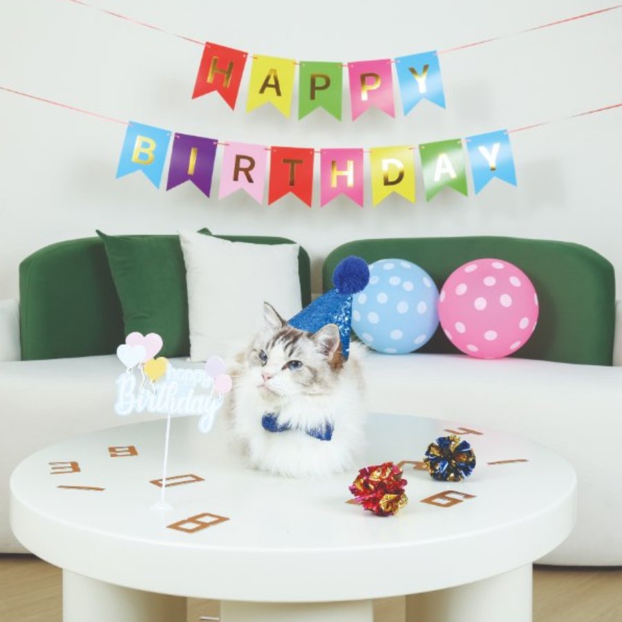 Petjoy Partytime Cat Gentleman'S Set, , large image number null