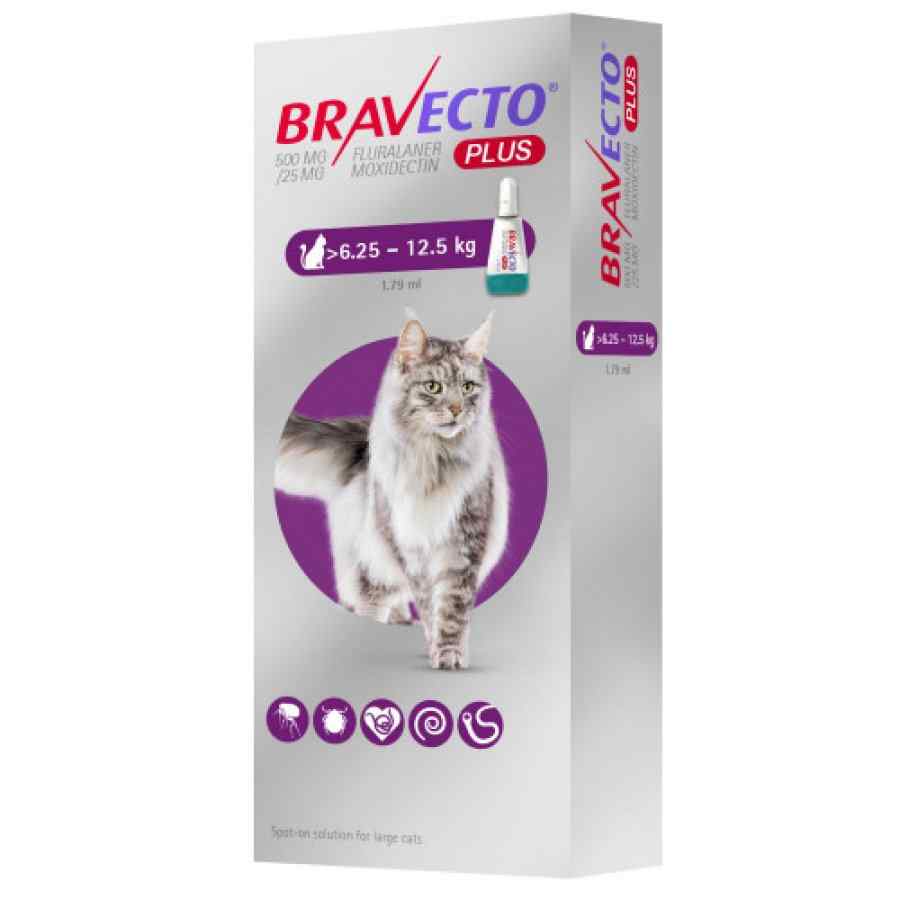 Bravecto Plus 500mg Spot On Cats (6.25kg - 12.5kg) image number null