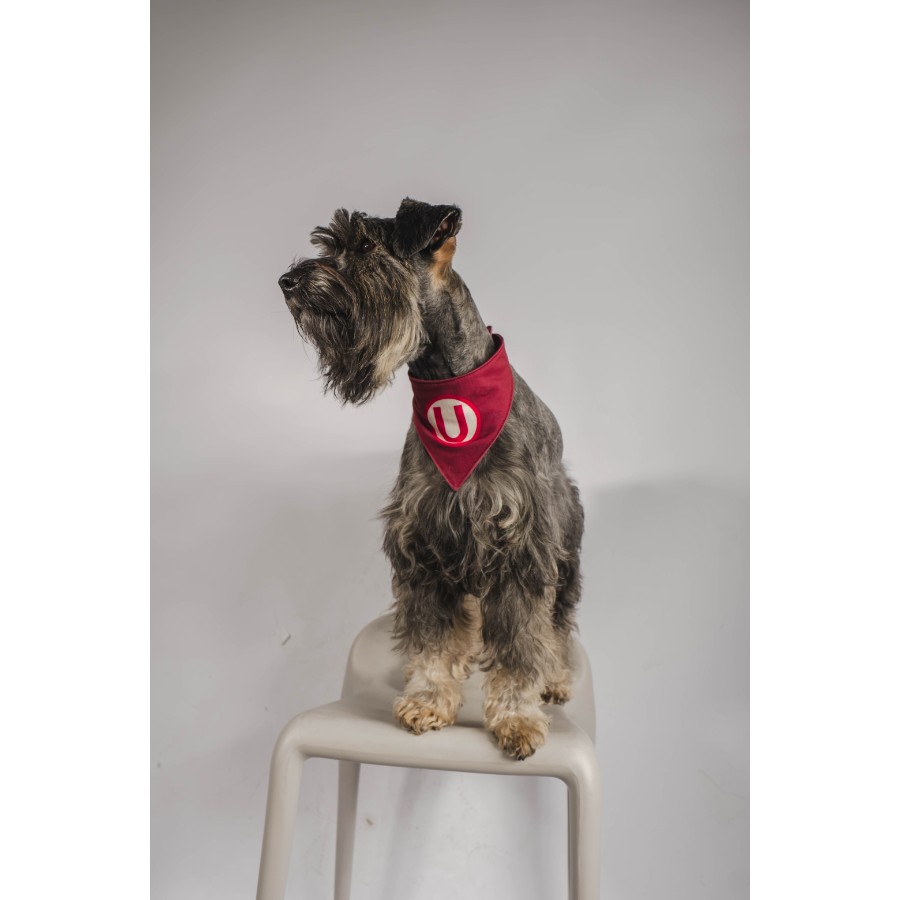 Bandana reversible alterna universitario, , large image number null