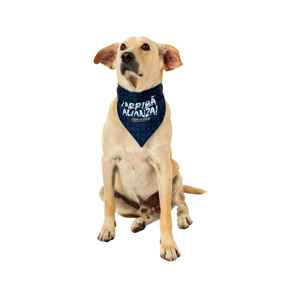 Bandana  Alterna Alianza Lima Colección 2025, , large image number null
