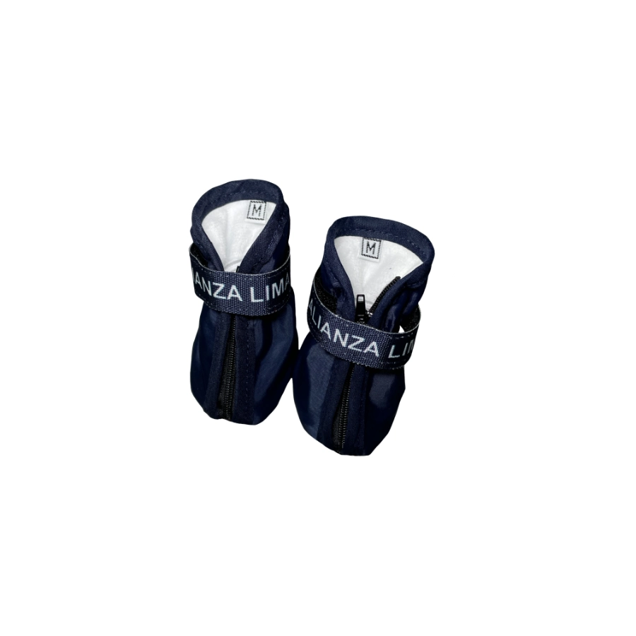 Zapato Oficial Alianza Lima, , large image number null