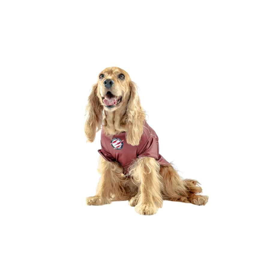 Camiseta Universitario Alterna Colección 2025