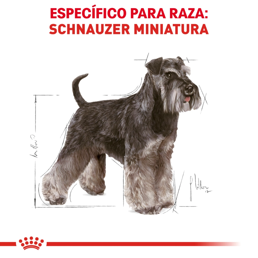 Royal Canin Perro Bhn Schnauzer Adult 3 Kg, , large image number null