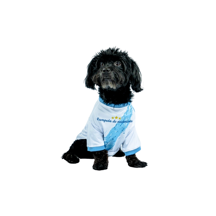 Camiseta Sporting Cristal Alterna Colección 2025, , large image number null