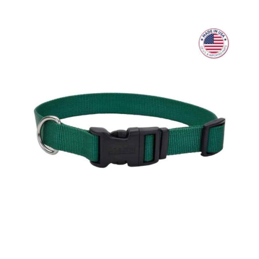Coastal Adjustable Dog Collar With Plastic Buckle, Hunter