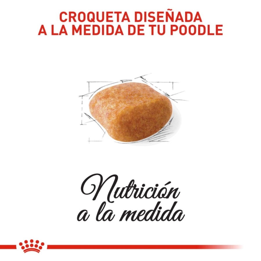 Royal Canin Perro Bhn Poodle Adult 1.5 Kg, , large image number null