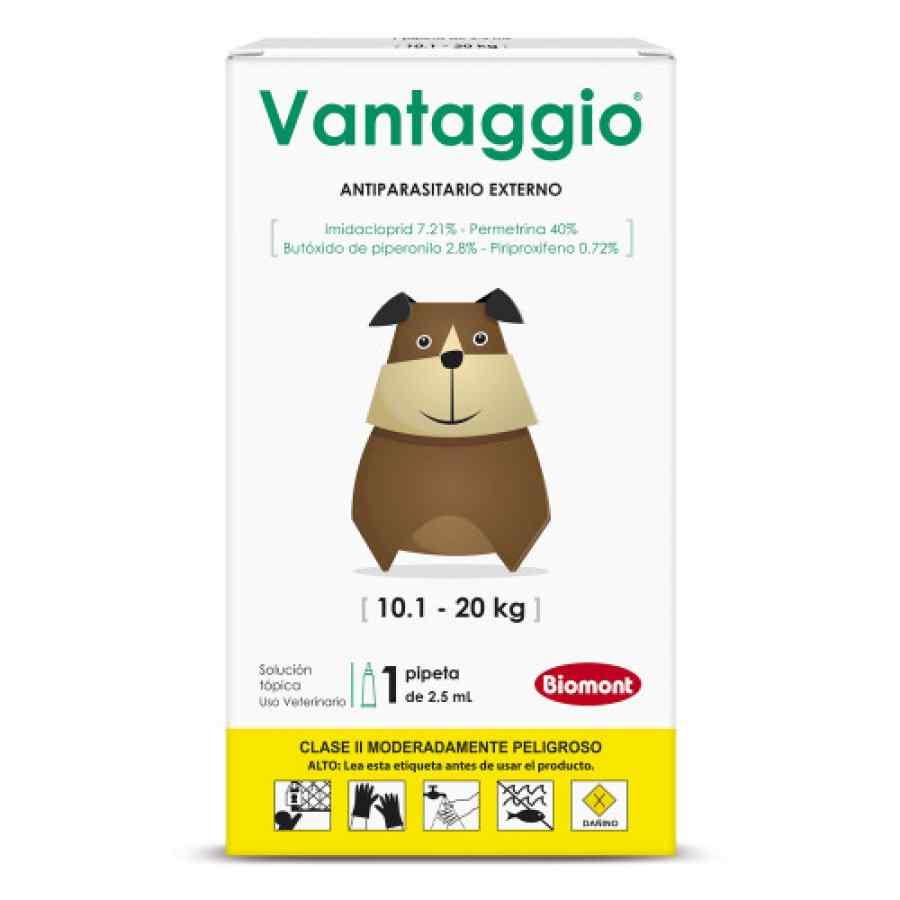 Vantaggio X 2.50 Ml (10.1kg a 20kg)