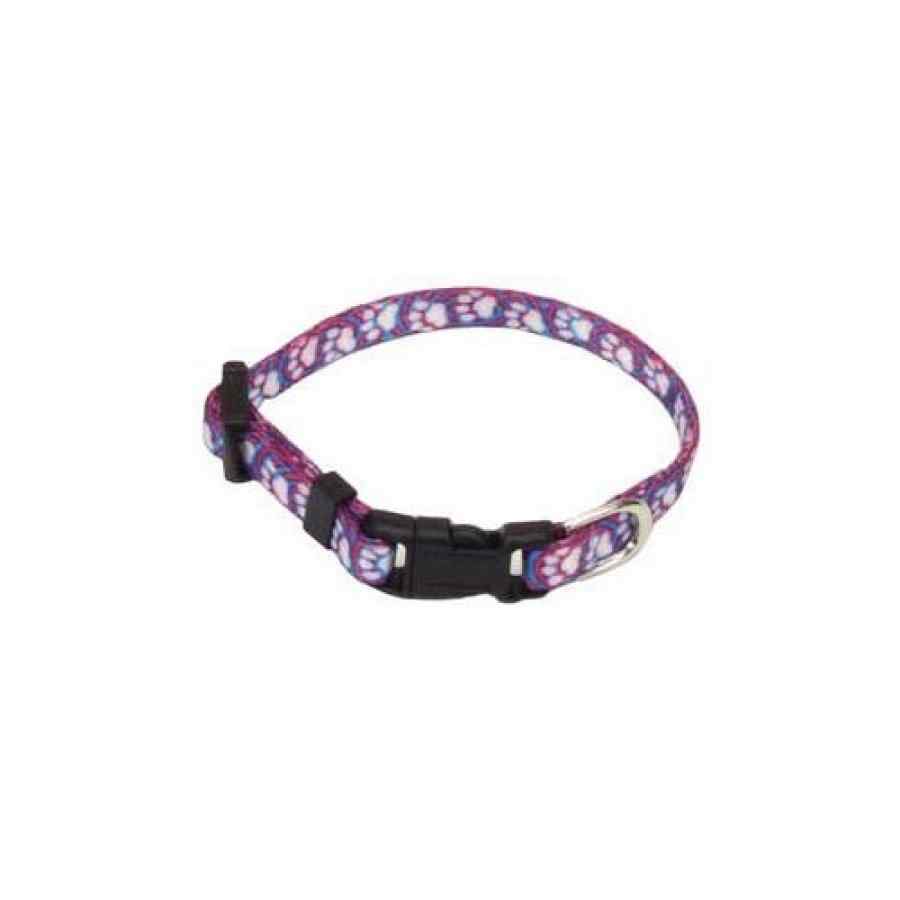 Coastal Collar Nylon Fashion Lil Pals 5/16' X 8' Xxsmall Huellita, , large image number null