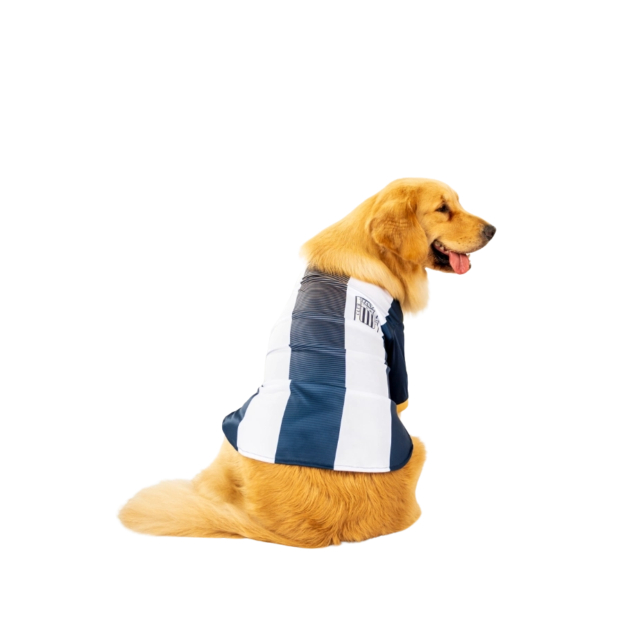 Camiseta Alianza Lima Oficial Colección 2025, , large image number null
