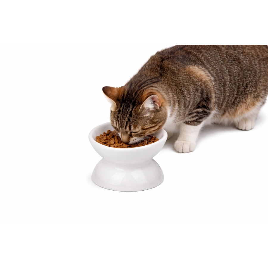 Taz&oacute;n Elevado Cer&aacute;mico Para Gato Leeby 120 Ml