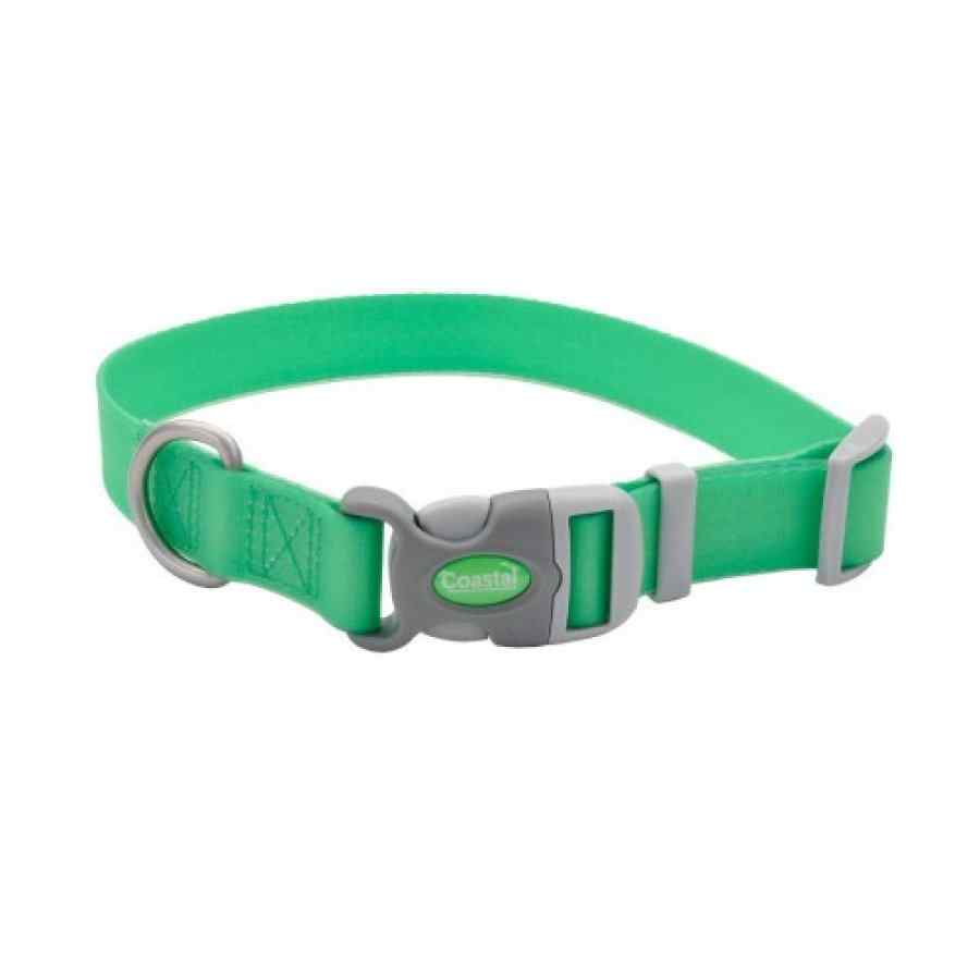 Pro Adjustable Waterproof Collar, Lime, Small - 3/4" x 10"-14"