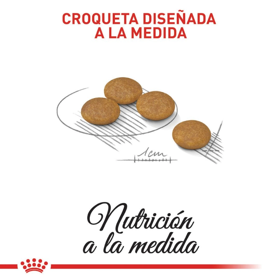 Royal Canin Perro Ccn Mini Dermacomfort 3 Kg, , large image number null