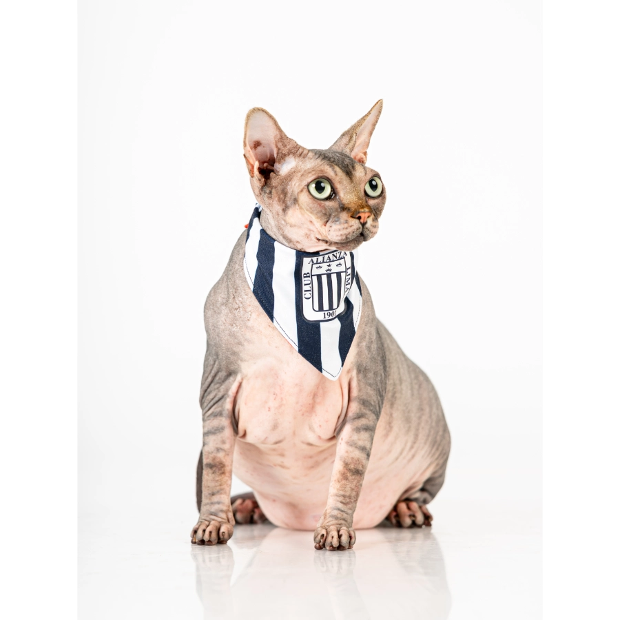 Bandana Oficial Colecci&oacute;n 2026 Alianza Lima, , large image number null