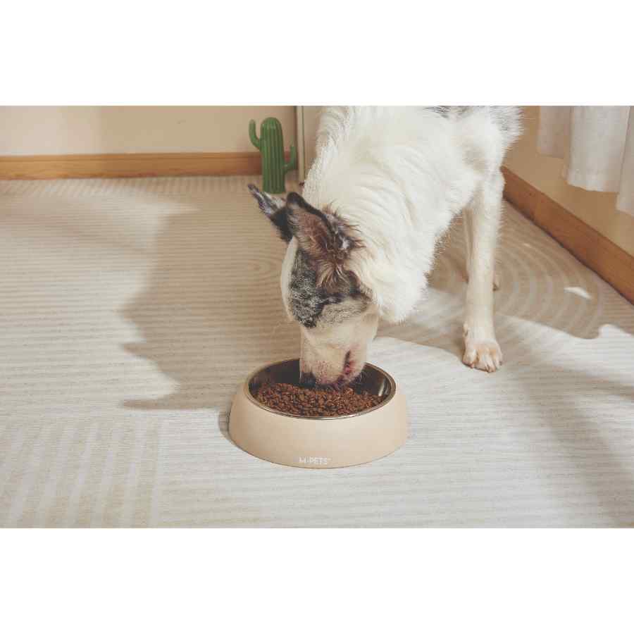 Mpets Eco Bowl Color Arena, , large image number null