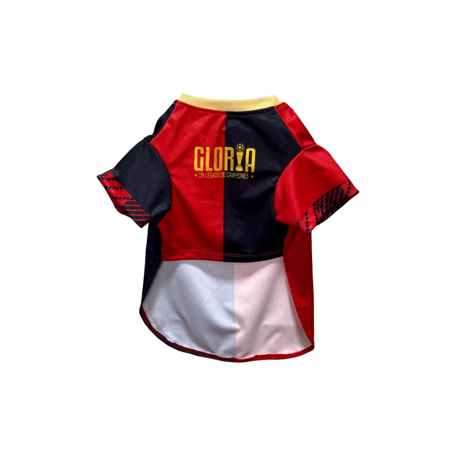 Camiseta Oficial Fbc Melgar, , large image number null