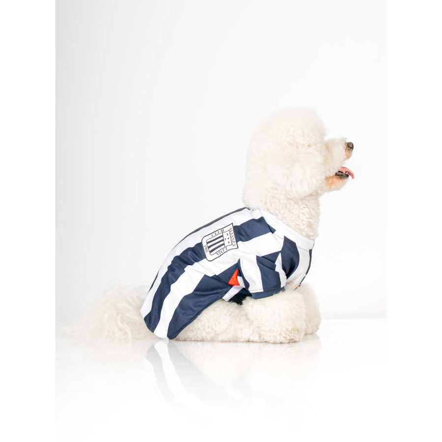 Camiseta Oficial Colecci&oacute;n 2026 Alianza Lima, , large image number null