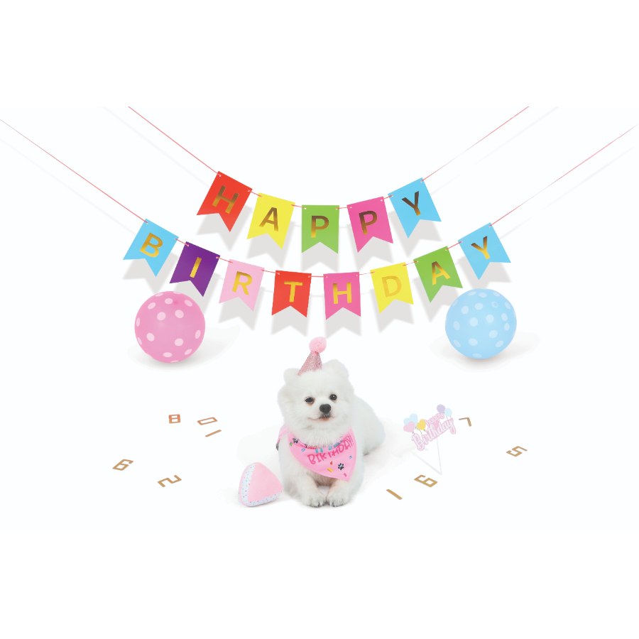 Petjoy Partytime Dog Lady'S Set
