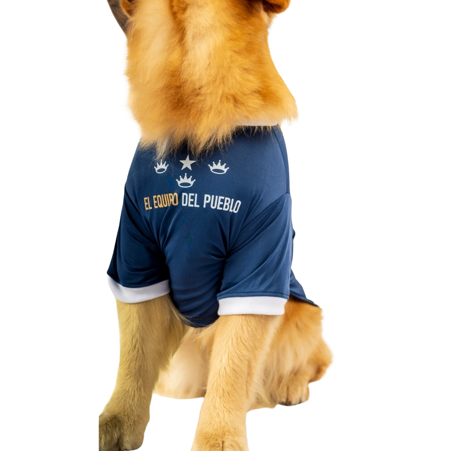 Camiseta Alianza Lima Alterna Colección 2025, , large image number null
