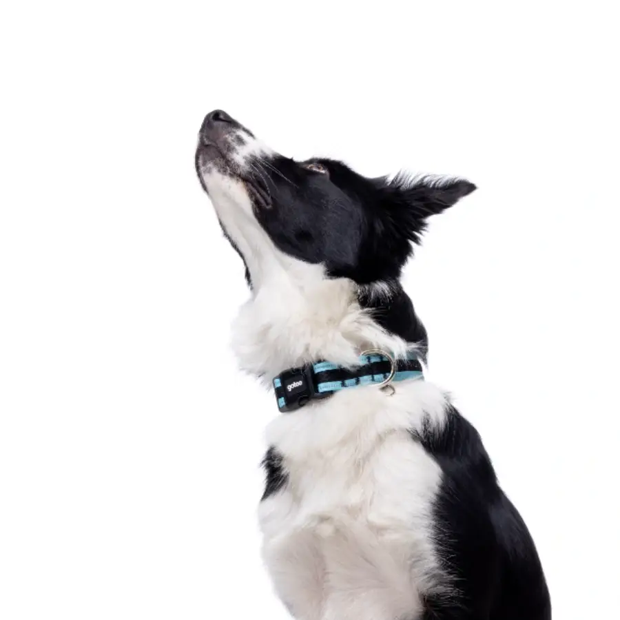 Gotoo! Collar De Malla Turquesa, , large image number null