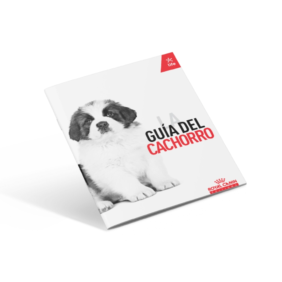Pack Xsmall Puppy 500 G, , large image number null