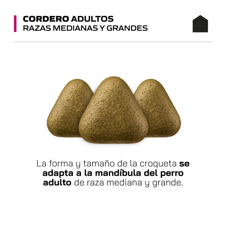 Canbo Adulto Cordero Razas Med/Gran Alimento Seco Perro, , large image number null