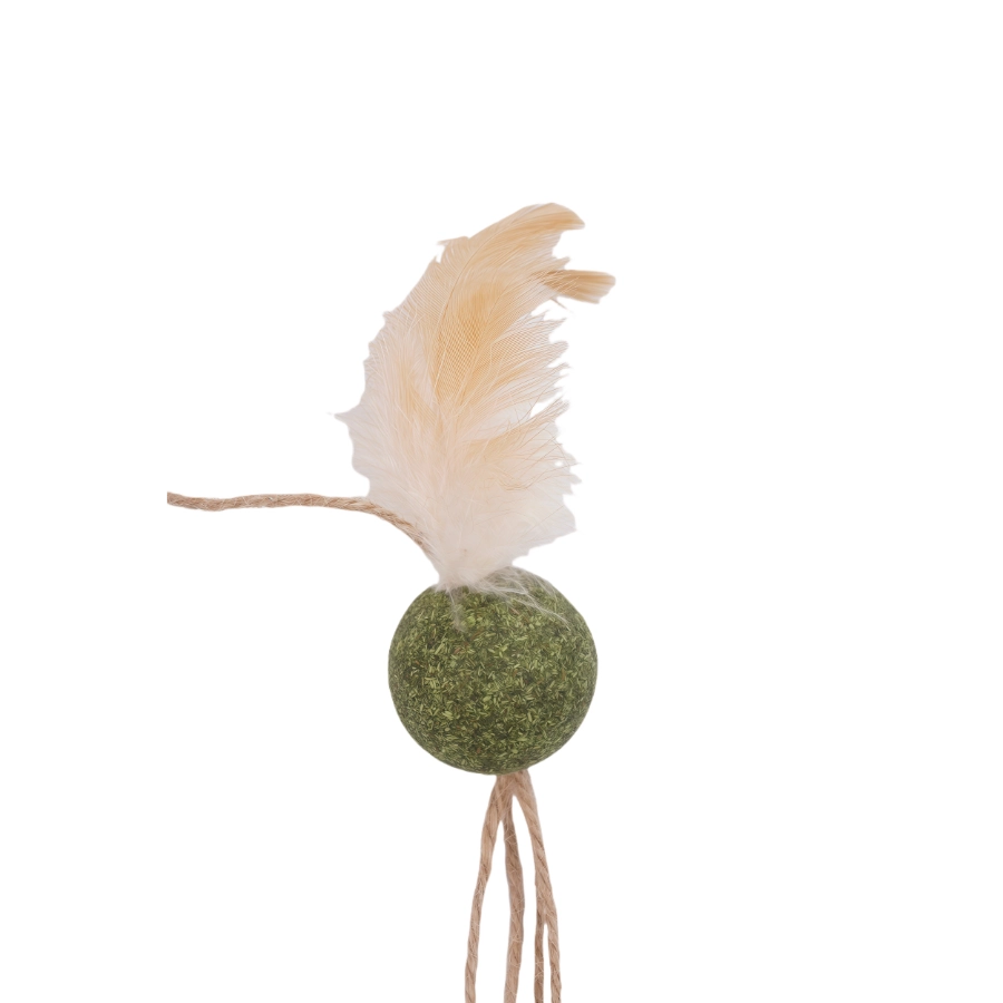 Tootoy! Interactive&Stimulate Oval Wand, , large image number null