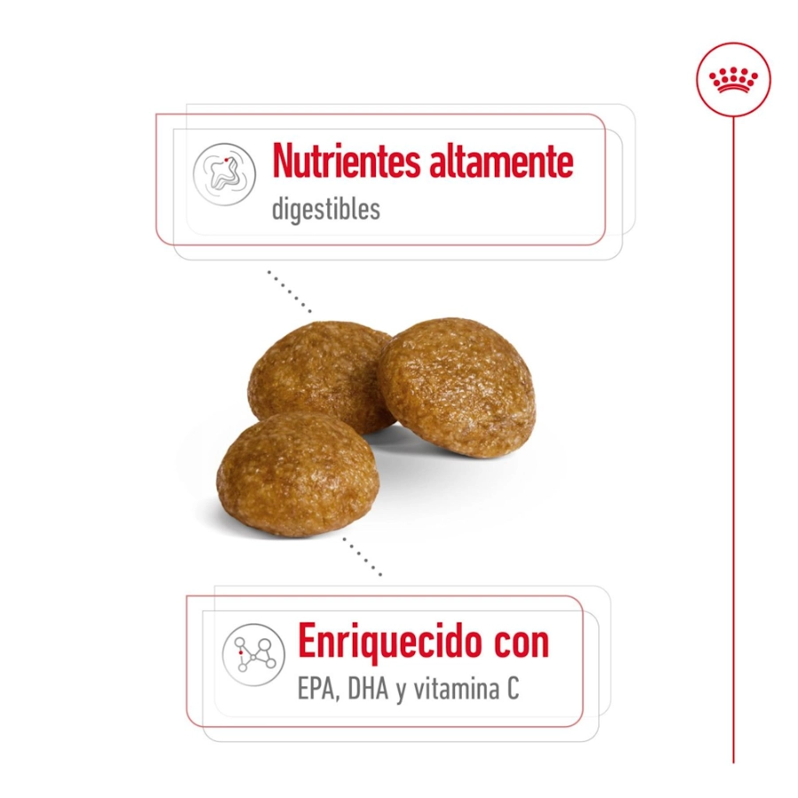 Royal Canin Perro Shn Xsmall Adult 1.5 Kg, , large image number null