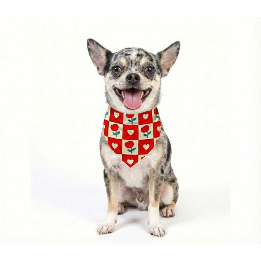 Valentines Paws Bandana Mas Pa&ntilde;oleta, , large image number null