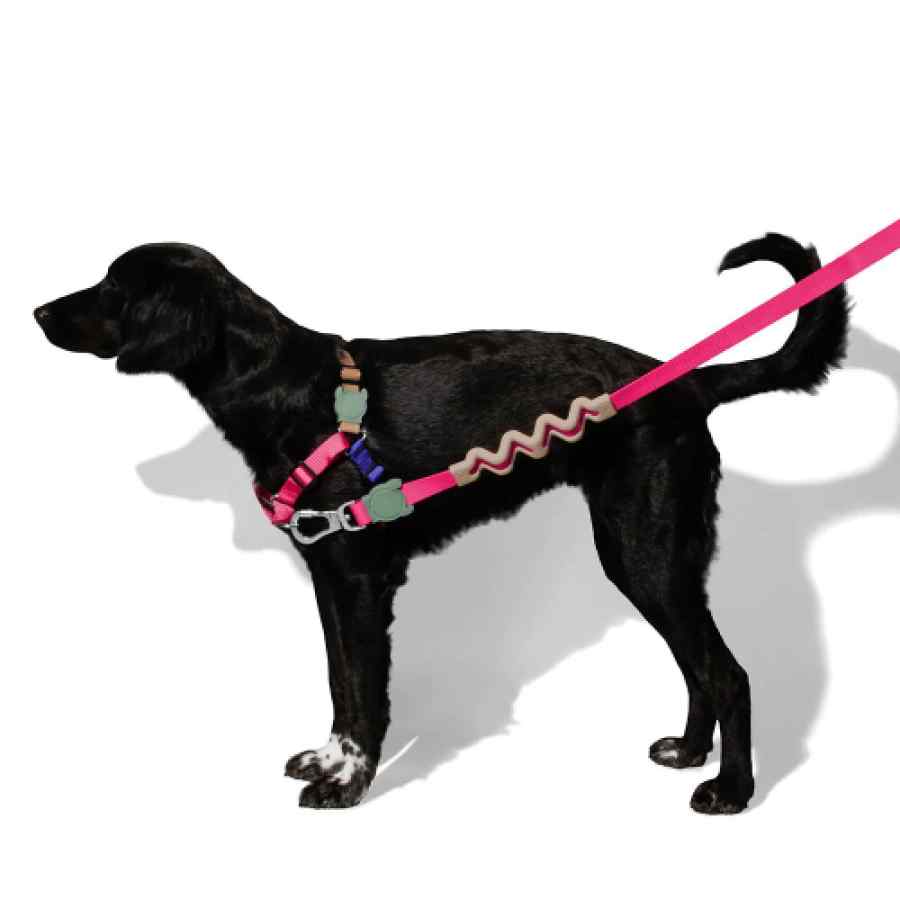 Zeedog Yucca Soft Walk Harness, , large image number null