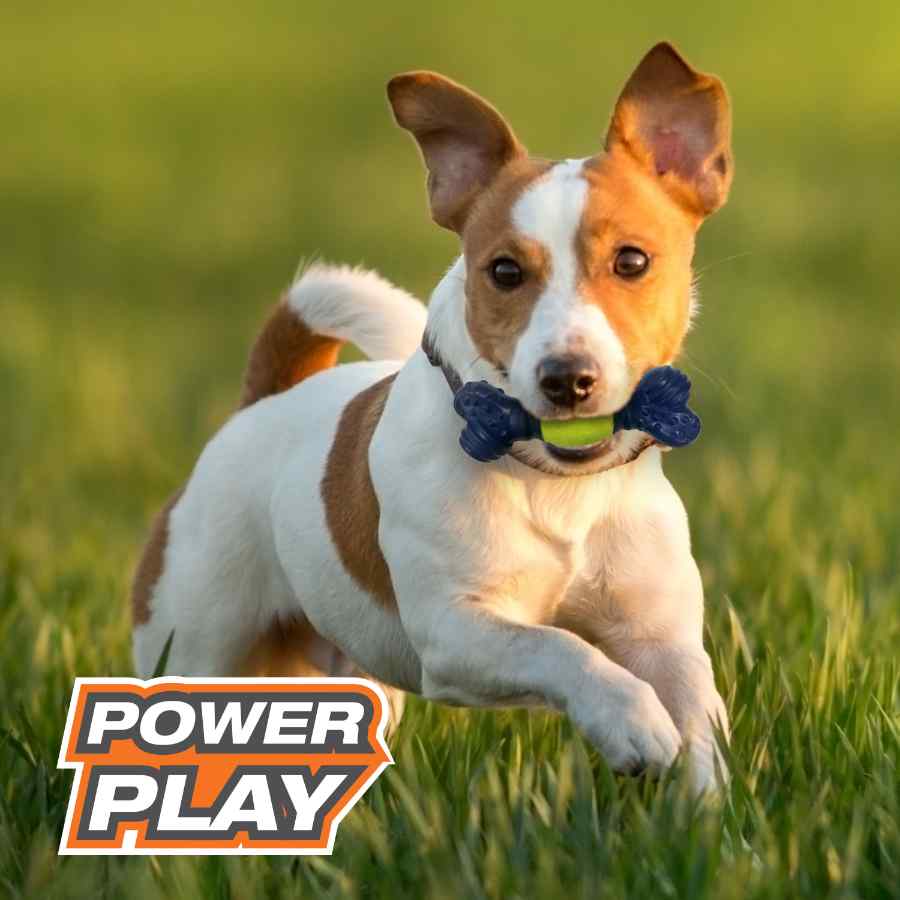 Nylabone Power Play Tennis Play N Fetch, , large image number null