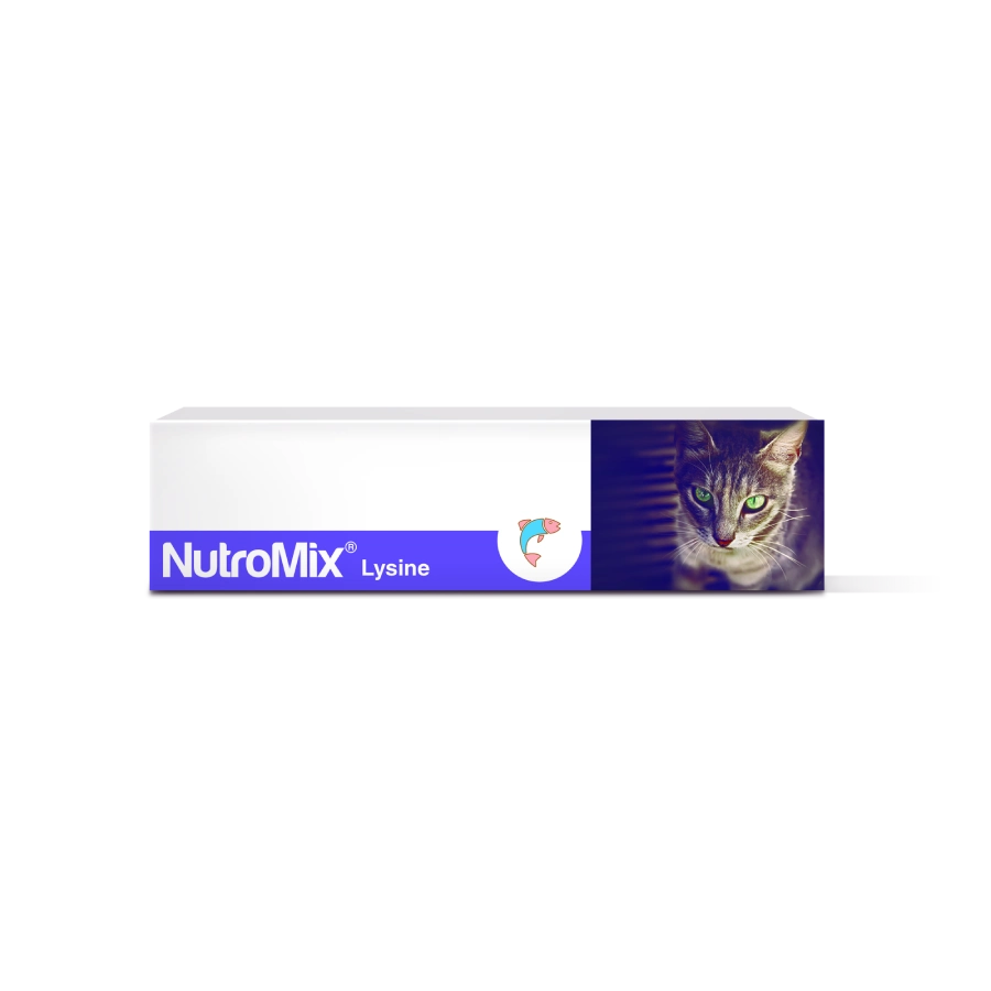 Nutromix Lysine+ Cja X 120 G
