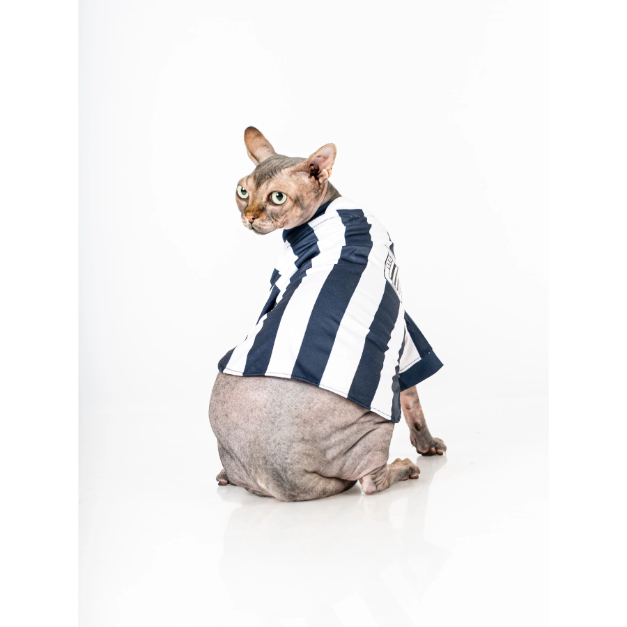Camiseta Oficial Colecci&oacute;n 2026 Alianza Lima, , large image number null